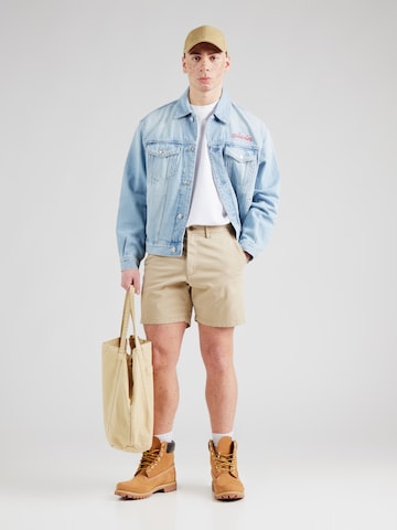 GAP Regular Chino trousers 'ESSENTIAL' in Green