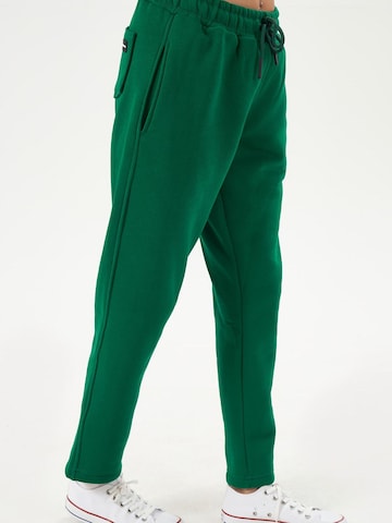 LOUIS LECLER Slimfit Broek 'Elise' in Groen