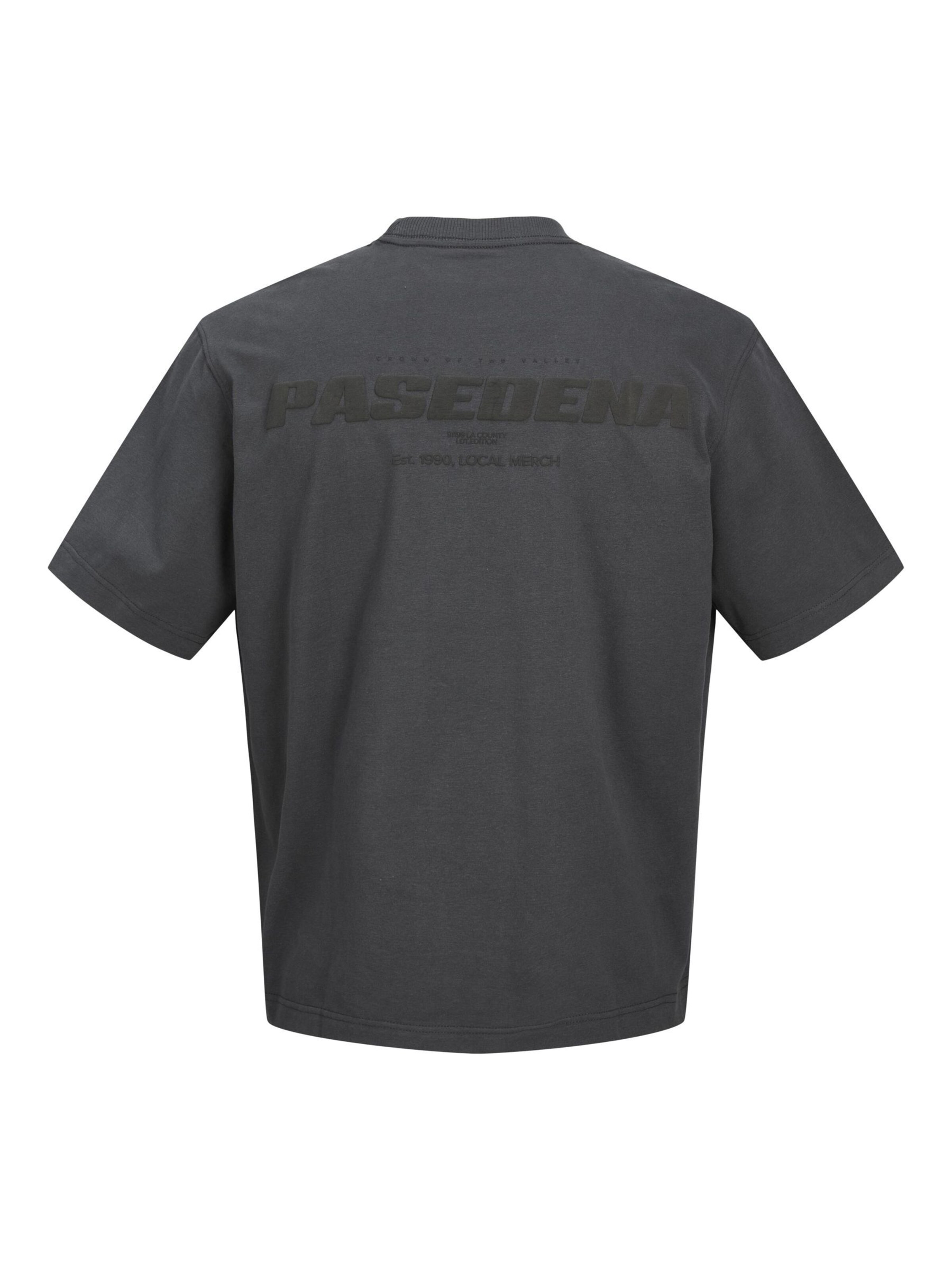 JACK & JONES Bluser & t-shirts 'JCOINTERLUDE EASTER' i grå