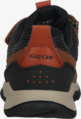 GEOX Sneaker in Braun