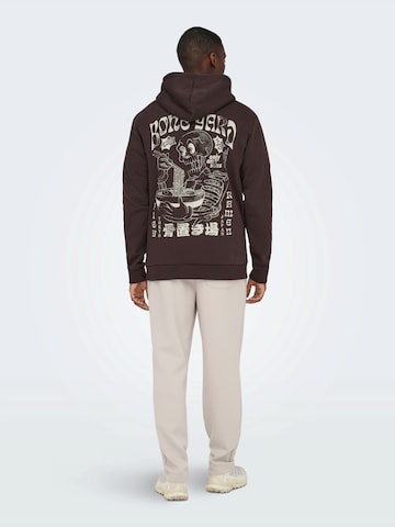 Only & Sons Sweatshirt 'ONSRAMEN' in Braun: Vorderseite