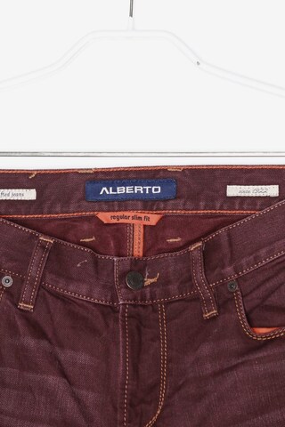 Alberto Jeans in 31 x 30 in Red