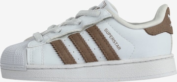 ADIDAS ORIGINALS Tennarit 'SUPERSTAR II CF' värissä valkoinen: etupuoli