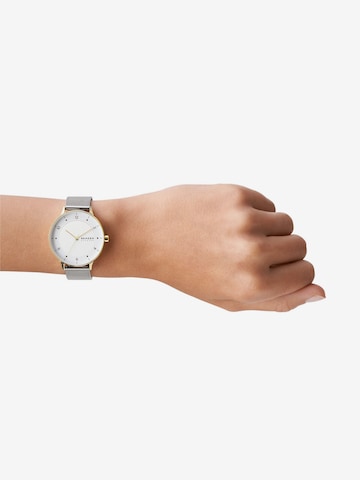 SKAGEN Analoog horloge 'Riis' in Zilver