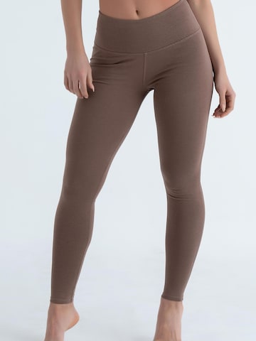 Evoni Slim fit Leggings 'aus Baumwolle mit hohem Bund' in Brown: front