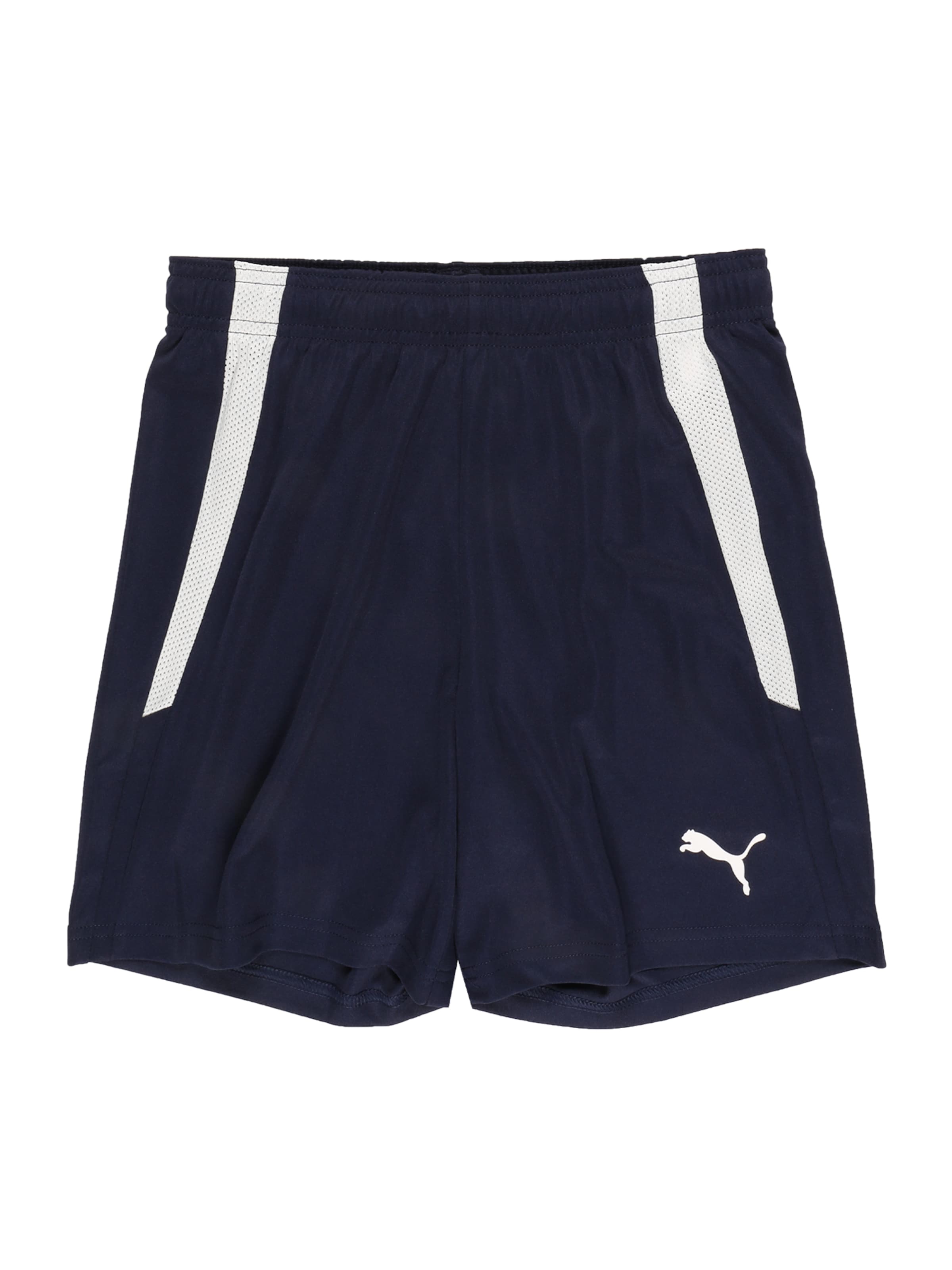 PUMA Sports trousers 'TeamLiga' in Blue: front