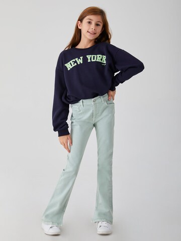 LTB Regular Jeans 'Rosie G' in Green