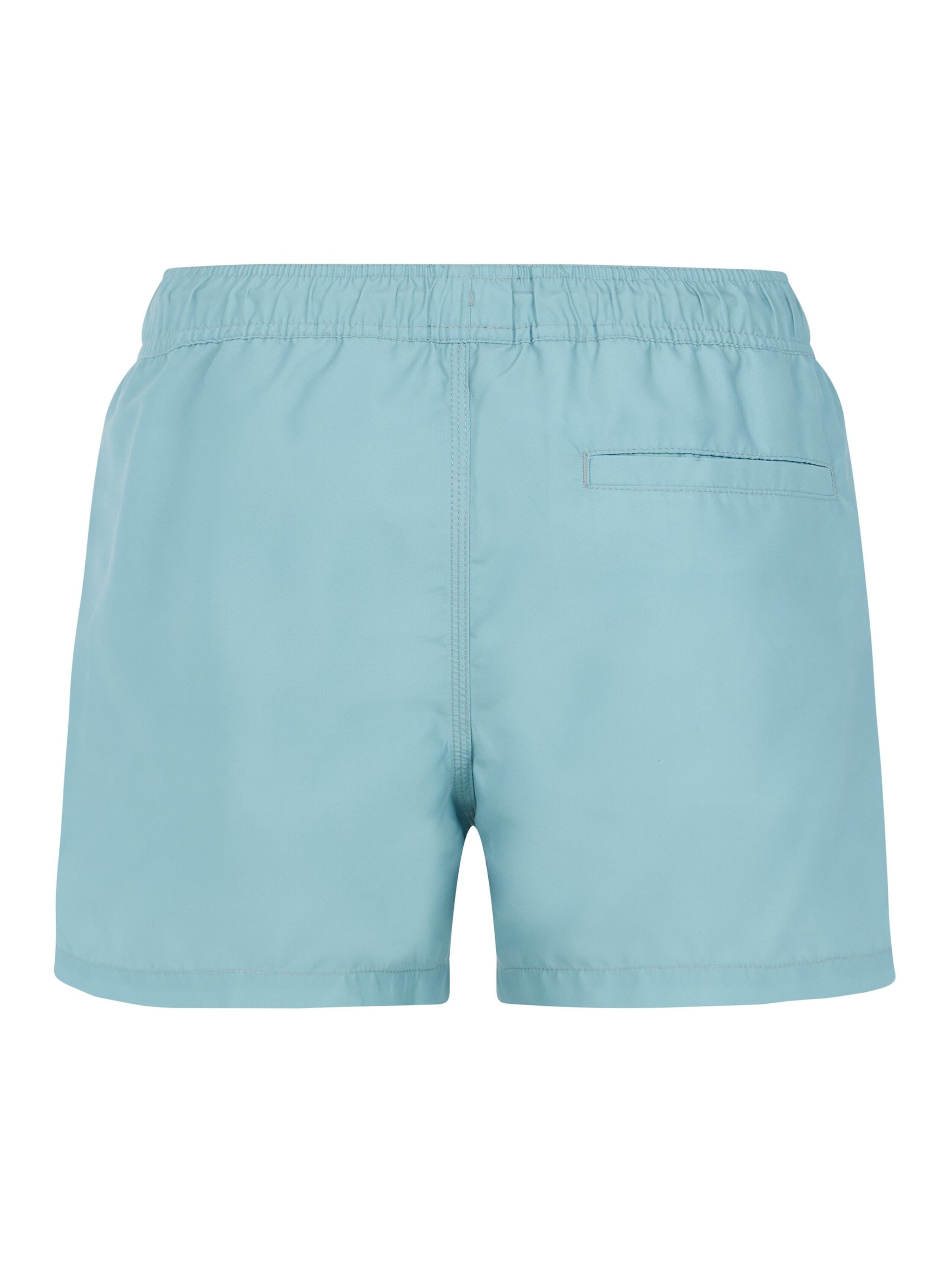 PROTEST Board Shorts 'PRTSTILO' in Blue