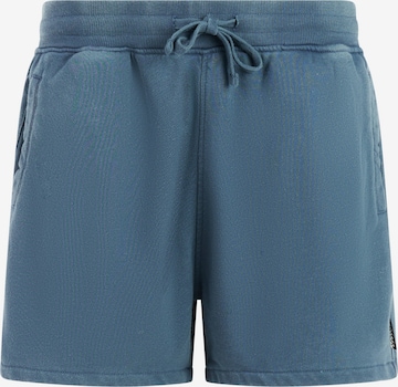 PROTEST Regular Trousers 'PRTOrby' in Blue: front