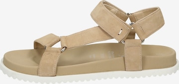 SIOUX Sandals 'Ingemara' in Brown
