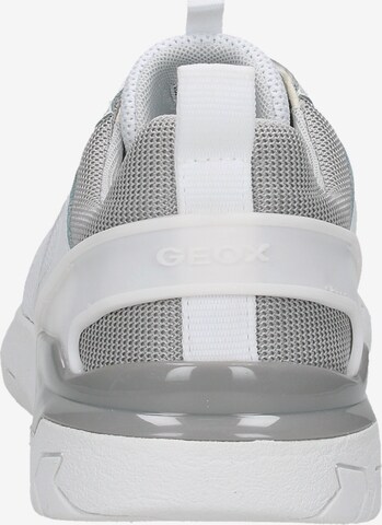 GEOX Sneaker 'Grecale' in Weiß