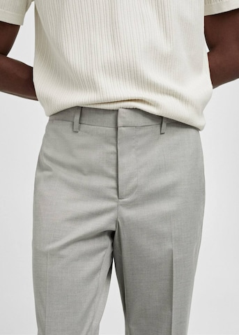 MANGO MAN Regular Pleat-Front Pants 'Paris' in Grey