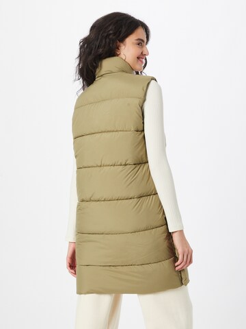 Superdry Bodywarmer in Groen