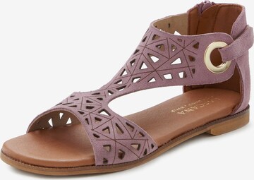 LASCANA T-Bar Sandals in Purple: front