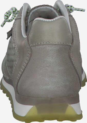 Cetti Sneakers in Grey