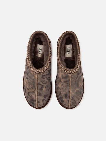 UGG Ботинки 'Tasman' в Коричневый