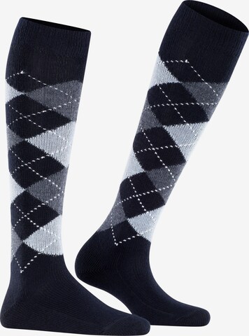 BURLINGTON Over the Knee Socks 'Whitby' in Blue: front