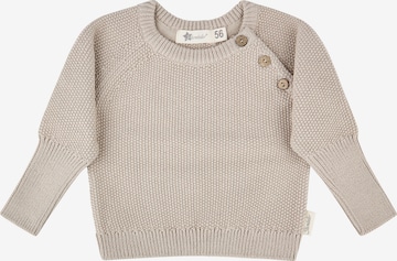 STERNTALER Sweater in Beige: front