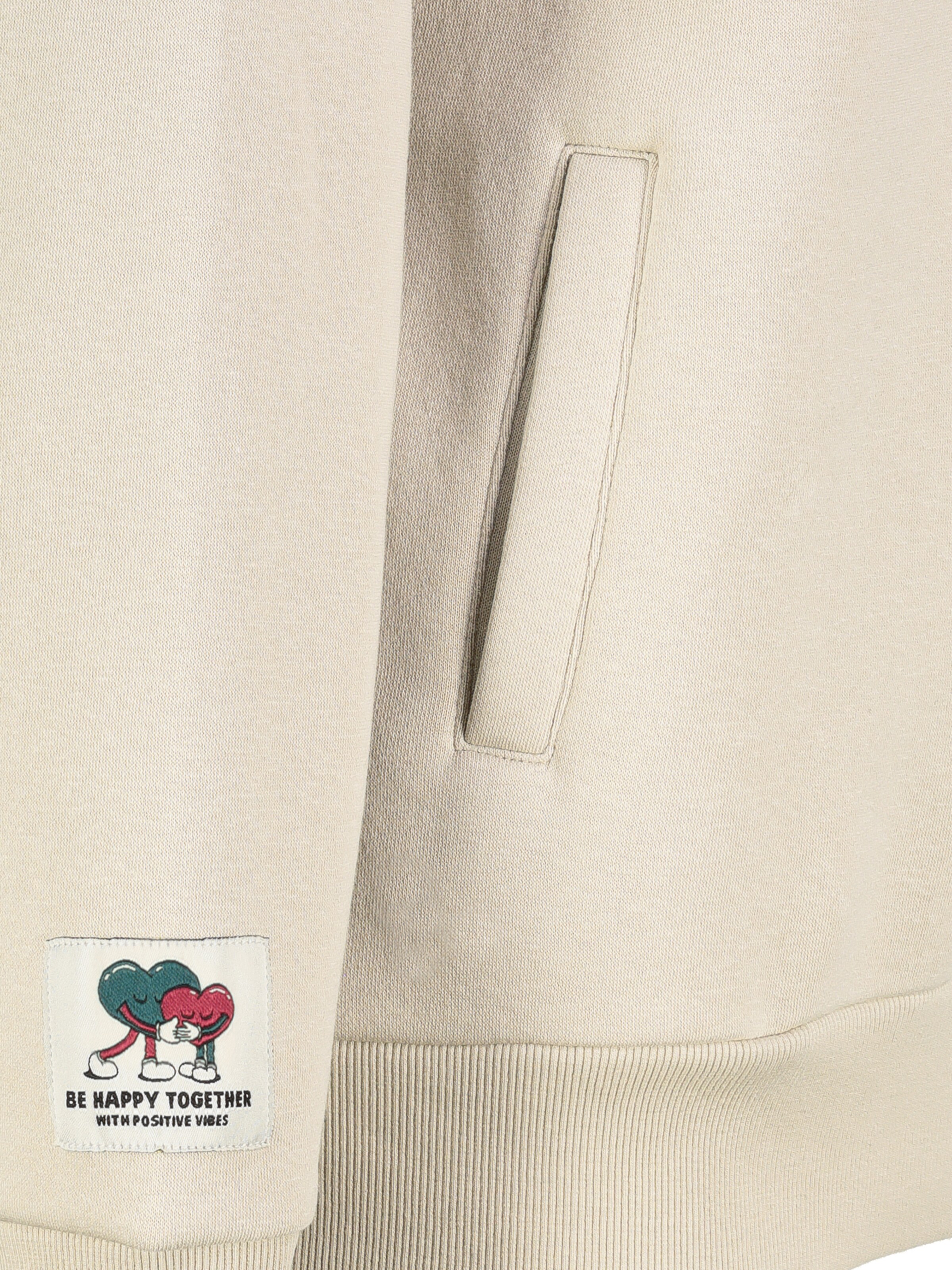 Sublevel Sweatshirt in Beige