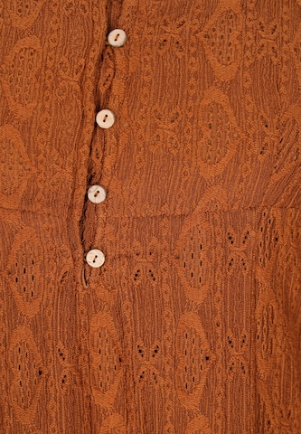 ebeeza Dress in Brown