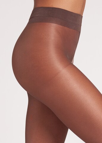 CALZEDONIA Tights in Braun