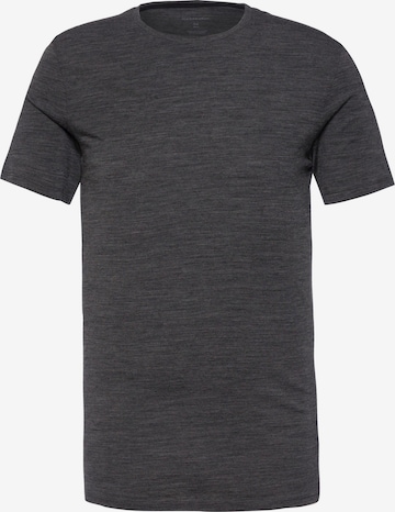 ICEBREAKER Funktionsshirt 'Anatomica' in Grau: Vorderseite