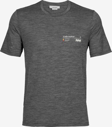 T-Shirt fonctionnel 'Tech Lite II Alpine Zone' ICEBREAKER en gris : devant