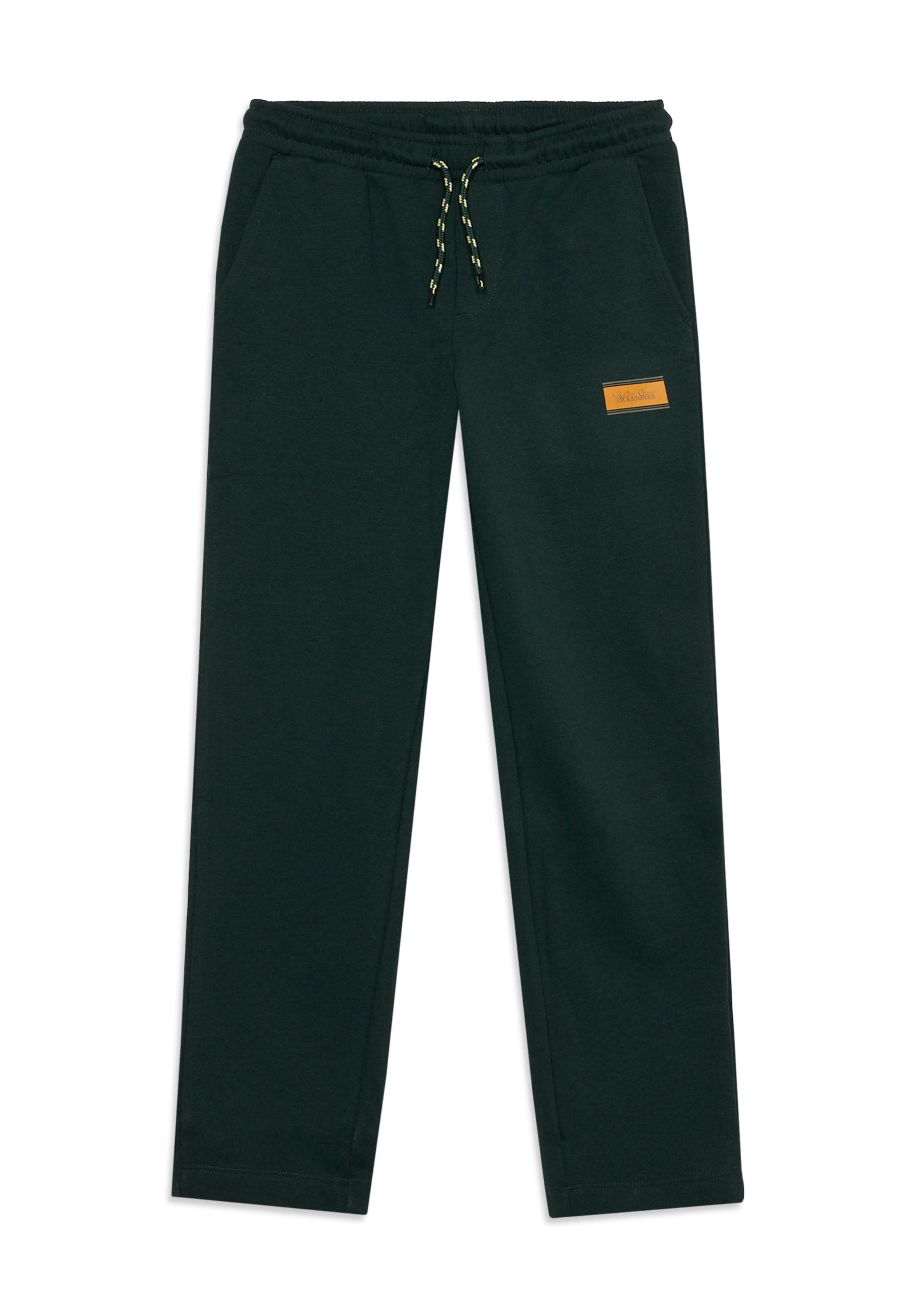 Jack & Jones Junior Обычный Штаны 'JPSTKANE BUSTER' в Зеленый: спереди