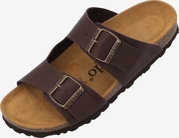 Palado Mules 'Palado Kormos' in Brown: front