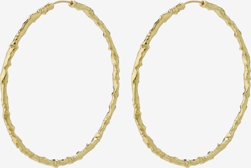 Pilgrim Earrings 'Sun' in Gold: front