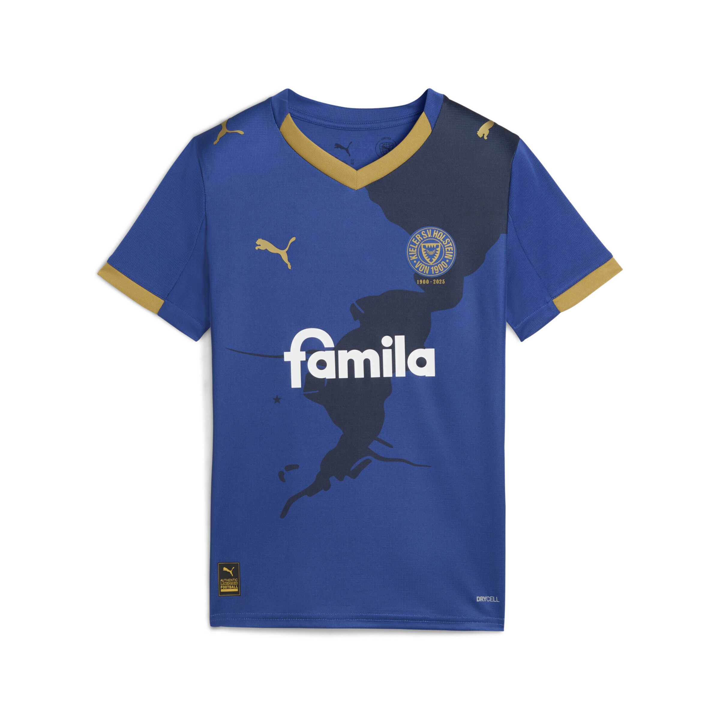 PUMA Performance shirt 'Holstein Kiel 25/26' in Blue: front