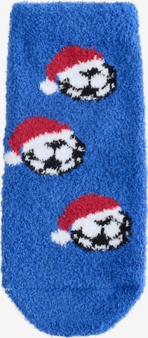Next - Calcetines en azul: frente