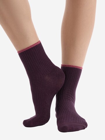 ETAM Socken 'Mindy' in Lila: Vorderseite