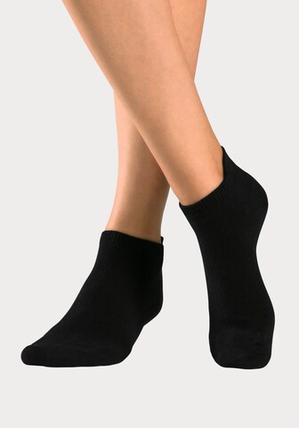 H.I.S Socken in Schwarz: predná strana