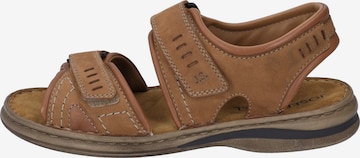 JOSEF SEIBEL Sandals 'Max' in Brown: front