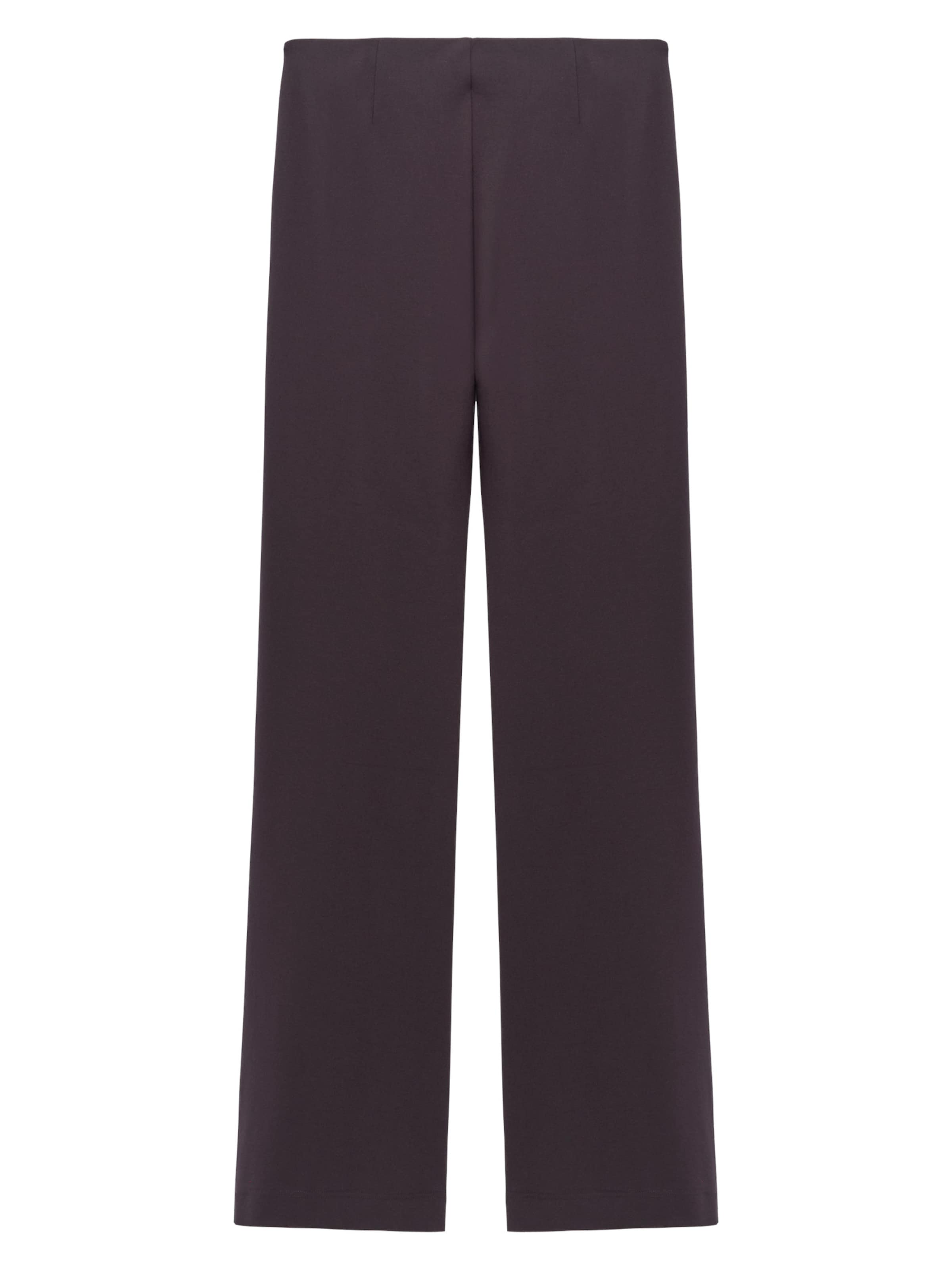 regular Pantaloni di Adolfo Dominguez in marrone