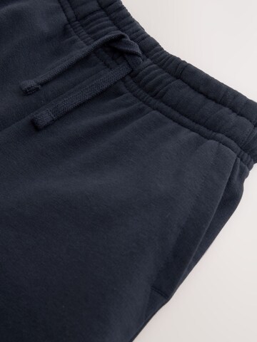 Next Regular Broek in Blauw