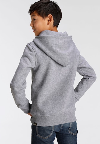 THE NORTH FACE Sweatshirt i grå