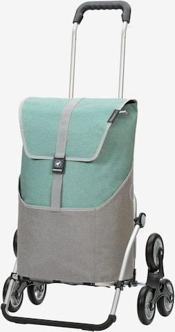 Andersen Shopper Trolley 'Vigo' in Groen: voorkant