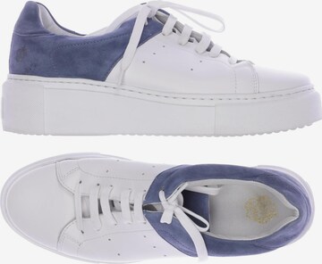 Apple of Eden Sneakers & Trainers in 42 in White: front