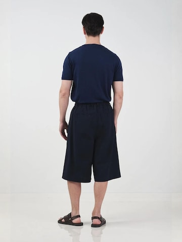 Giesto Wide leg Broek in Blauw