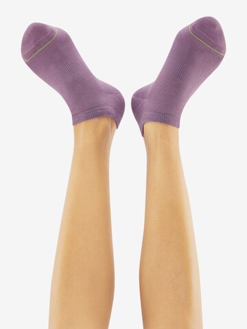 CHEERIO* Дамски чорапи тип терлици 'SNEAKER PAL 6P' в пъстро: отзад