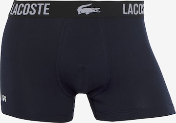 Lacoste Sport Athletic Underwear in Blue