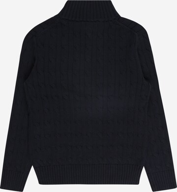 Polo Ralph Lauren Sweater in Blue