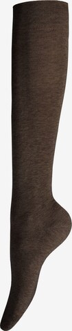 Gambaletto 'Relax Cotton' di Hudson in nero: frontale
