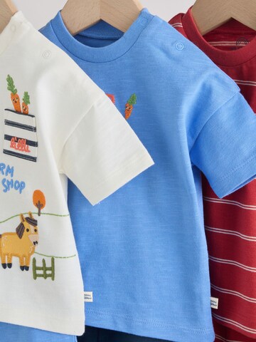 Next Set in Mischfarben