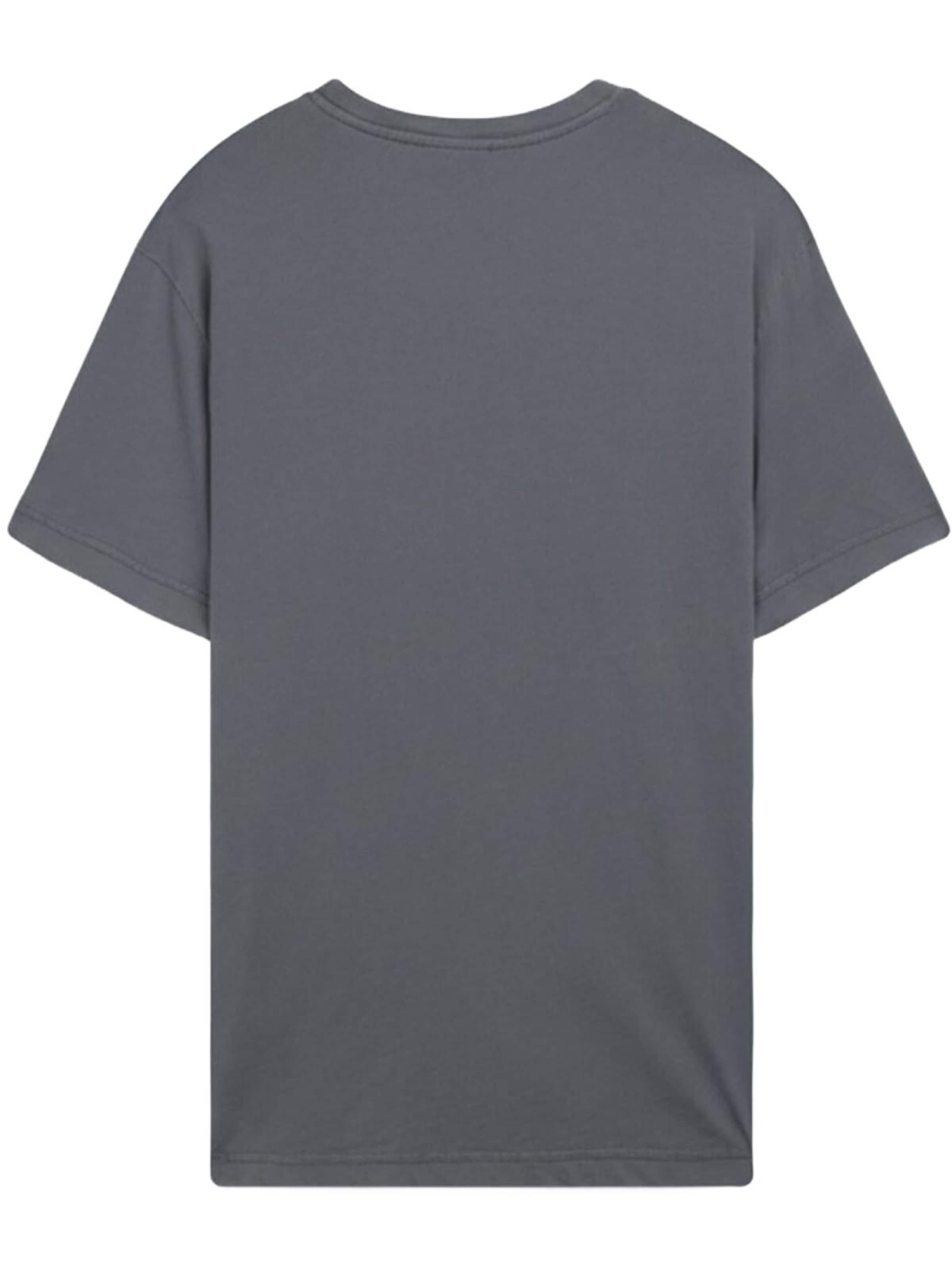 Maglietta 'LTB Jeans Herren-T-Shirt mit verwaschenem Rundhalsausschnitt' di LTB Jeans in grigio: frontale