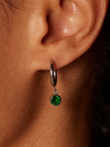 Lucardi Oorbellen in Zilver