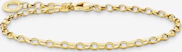 Thomas Sabo Bracelet in Gold