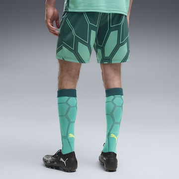 PUMA Regular Sportbroek in Groen